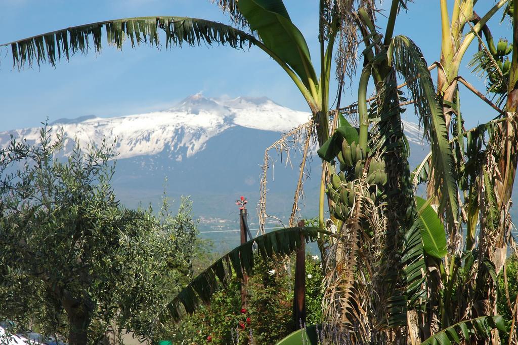 Agriturismo Dell'Etna Riposto Kültér fotó